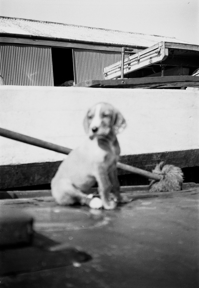 19430000c GUCC Grand Union Canal by Barge Captain CHRISTIAN VLASTO (m. Abbas) 08.jpg